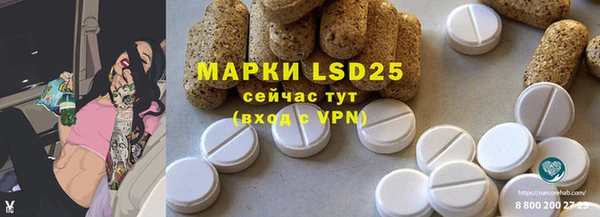 ГАЛЛЮЦИНОГЕННЫЕ ГРИБЫ Беломорск