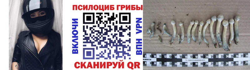 ссылка на мегу маркетплейс  Сегежа  Галлюциногенные грибы Magic Shrooms 
