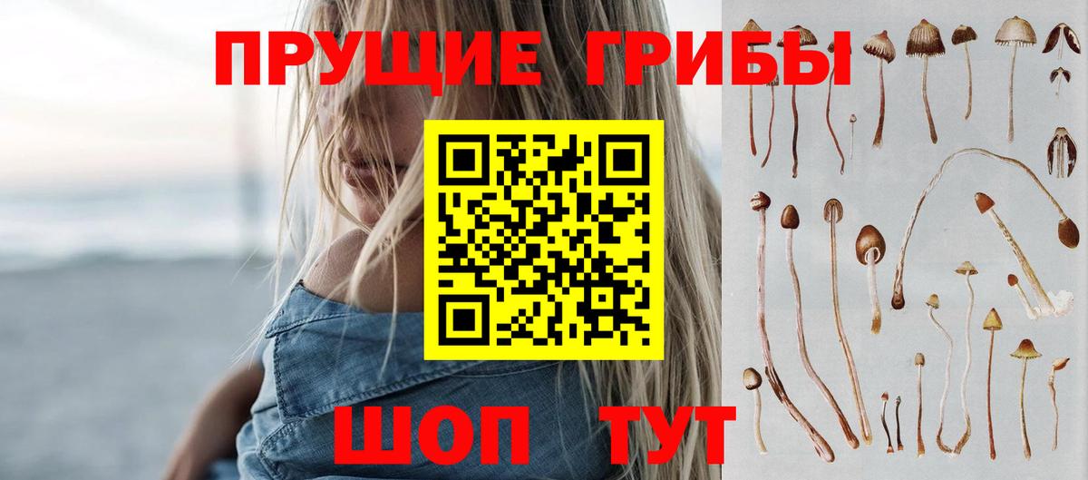 Галлюциногенные грибы Cubensis  закладки  Галлюциногенные грибы Psilocybe  Сегежа  Вход с VPN 