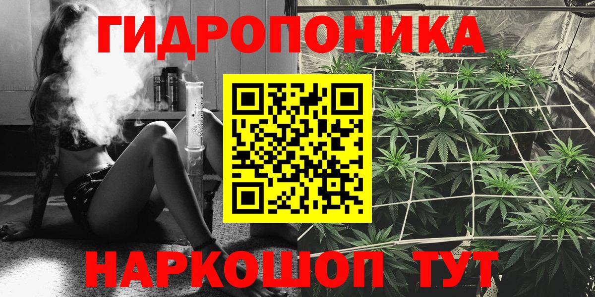 Сегежа  Бошки Шишки план  Шишки марихуана Amnesia  Вход с VPN 